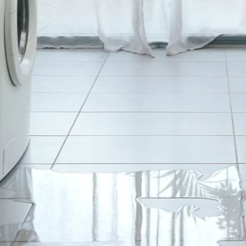 Appliance Leak Cleanup in Keystone Heights, FL